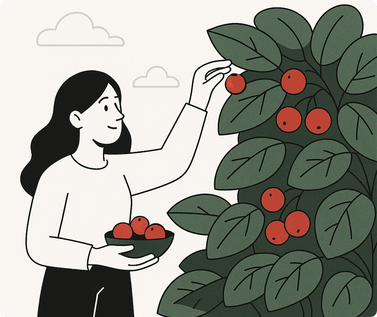 Berry Picking: Finding Your Perfect Match